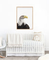 Colour Pencil drawing of an American Bald Eagle in an Oak frame, hanging above a white cot in a nursery