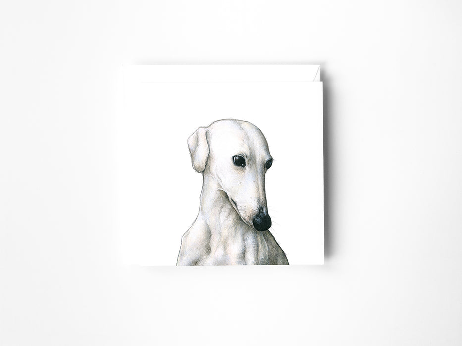 Greyhound card