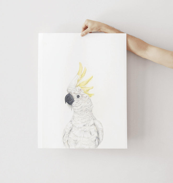 White Cockatoo Art Print - the wild woods
