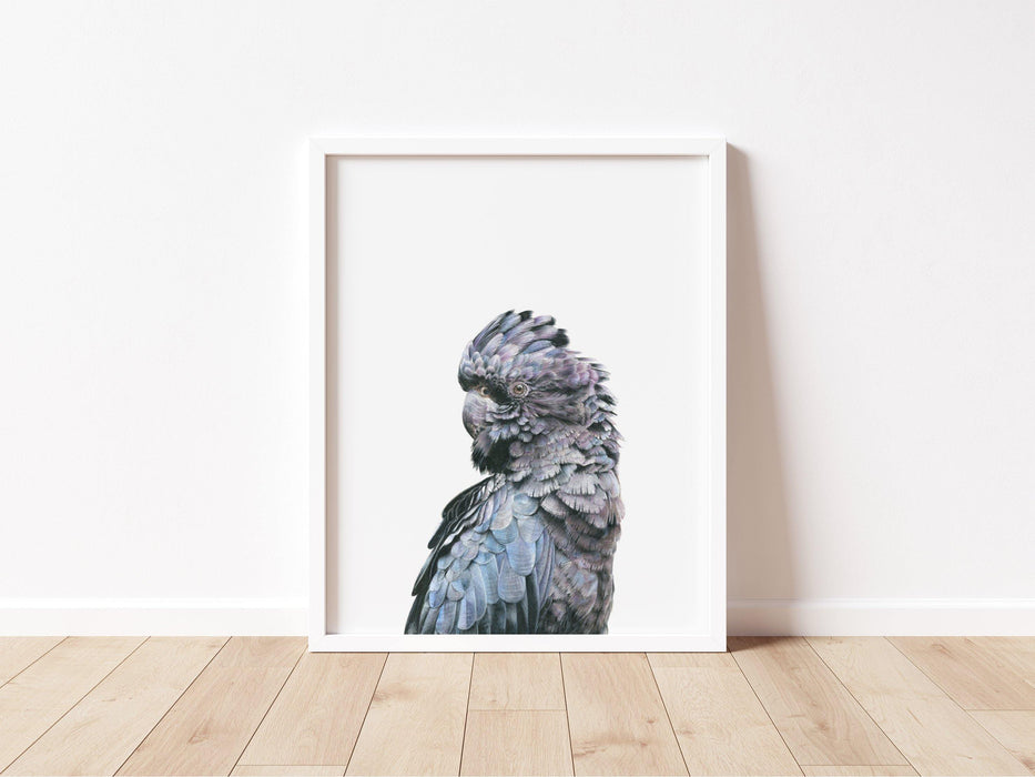 Black Cockatoo Art Print in a white frame leaning against a wall - the wild woods