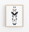 5 hand drawn butterflies in a timber frame