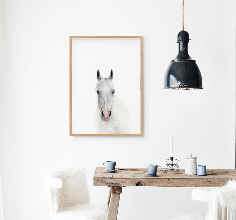 colour pencil drawing of a white horse portrait in a teak frame hangign in a kitchen above a timber table