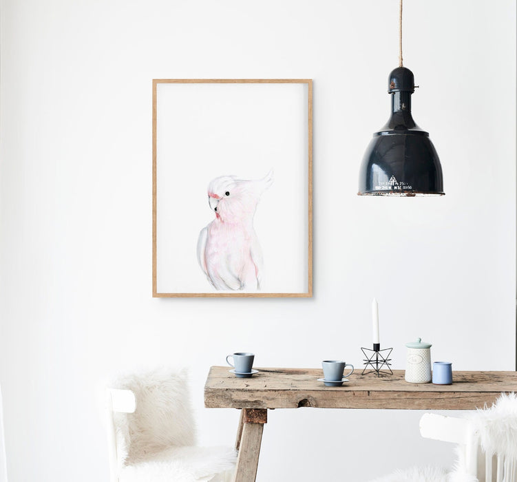 a colour pencil drawing of a pink galah on a white background in a teak frame hanging in a kitchen above a timber table