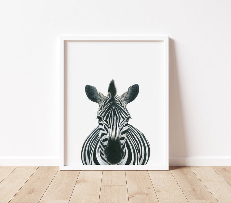 Drawing of a Zebra on a white background in a white frame