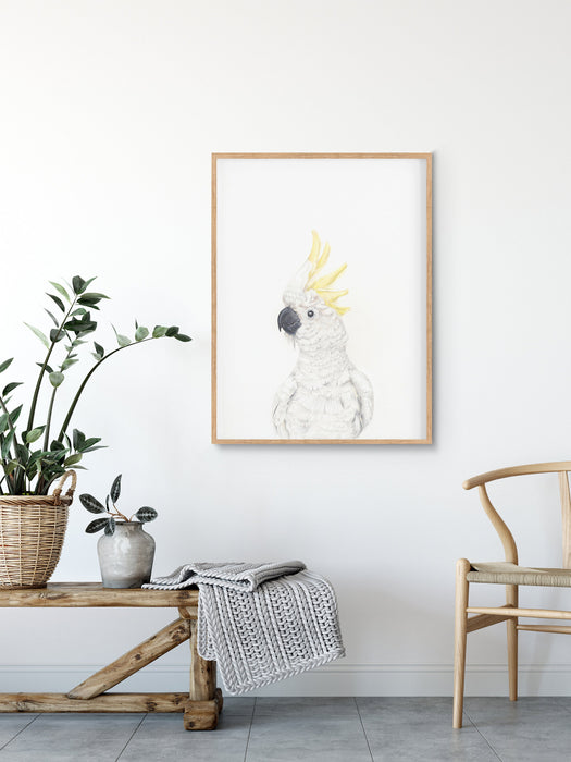 white cockatoo colour pencil drawing on a white background in a teak frame hanging above a timber bench