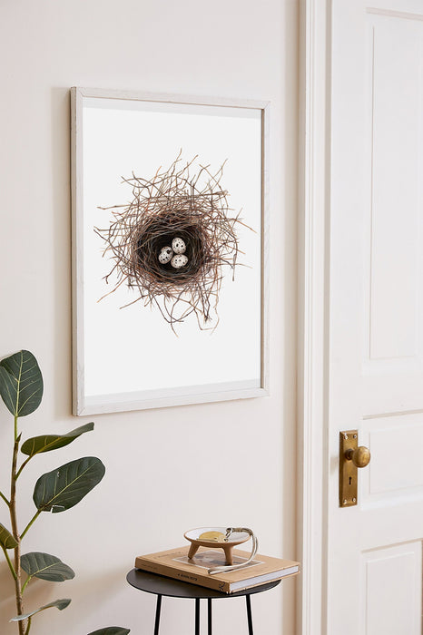 Birds Nest print, Bird Wall Art, Gift for her, Bird lovers gift, Frenchcolour pencil drawing of a birds nest on a white background in a teak frame hanging in a hall way above a side table