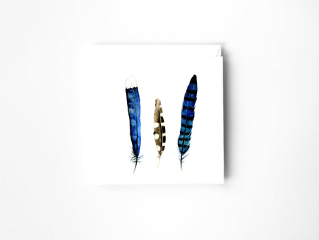 a drawing of a 3 blue feathers in colour pencil on a blank greeting card