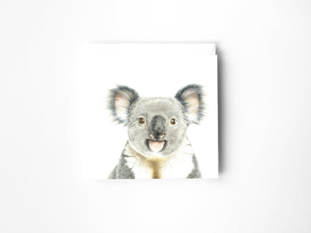 a drawing of a Koala Bear in colour pencil on a blank greeting card