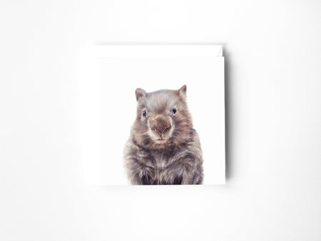 a drawing of a wombat in colour pencil on a blank greeting card