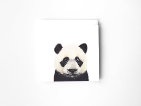 a drawing of a Panda in colour pencil on a blank greeting card