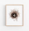 a colour pencil drawing of a birds nest with 3 eggs inside in a timber frame