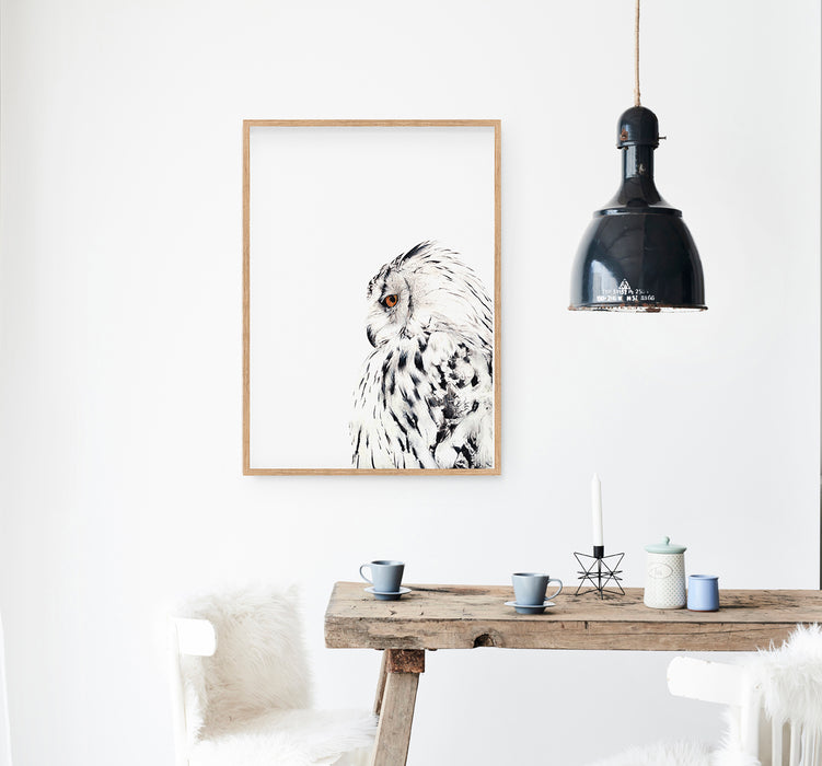 black and white colour pencil drawing of a snowy white owl in a teak frame hanginf in a kitchen above a timber table
