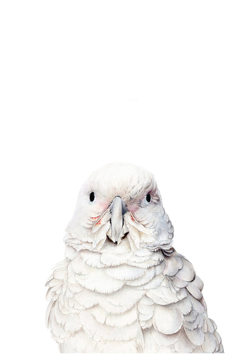 White Cockatoo Greeting card