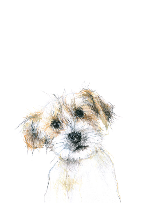 Terrier dog greeting card