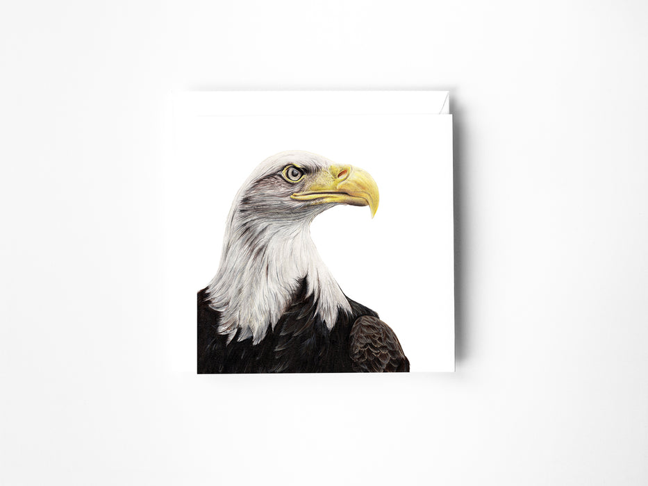 Bald Eagle card