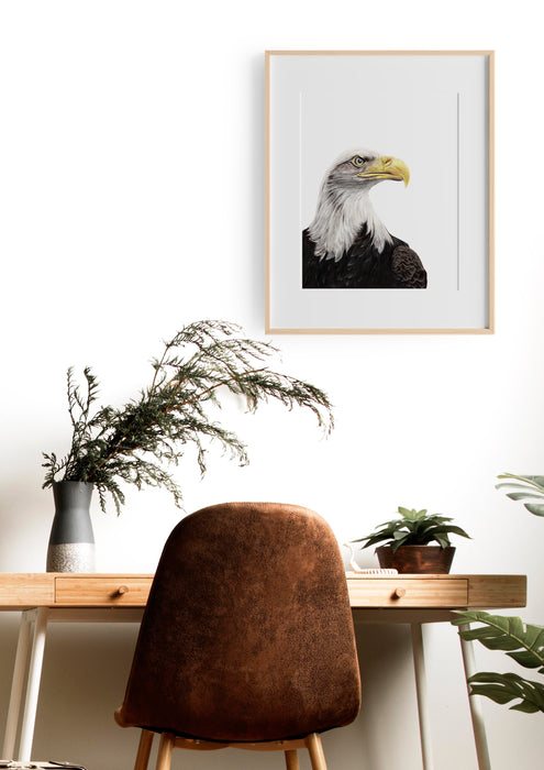 Colour Pencil drawing of an American Bald Eagle in an Oak frame, hanging above a timber desk in a study