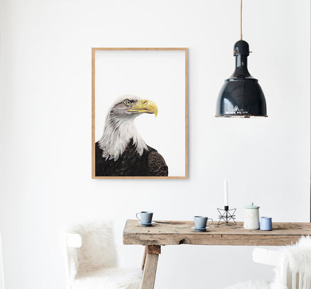 Colour Pencil drawing of an American Bald Eagle in an Oak frame, hanging above a timber table in a kitchen
