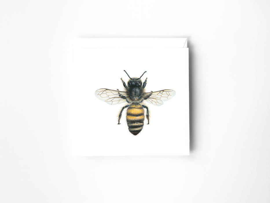Bee Greeting Card