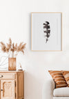 black and white feather colour pencil drawing in an oak frame hanging in a lounge room