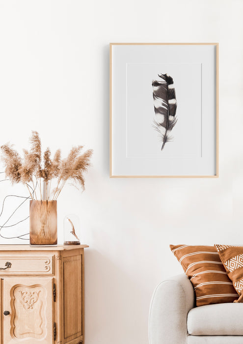 black and white feather colour pencil drawing in an oak frame hanging in a lounge room