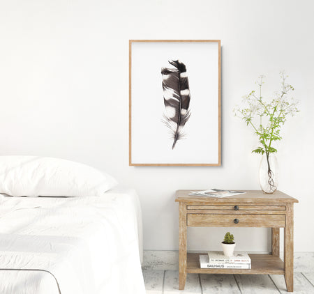 black and white feather colour pencil drawing in an oak frame hanging in a bedroom above a timber side table.
