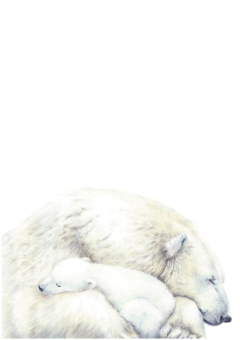 Polar Bear greeting card