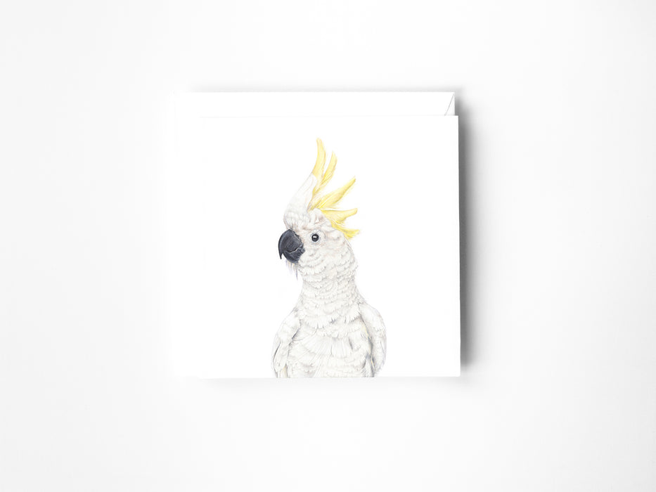 White cockatoo Card
