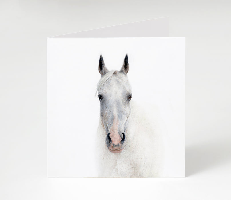 Horse Greeting Card Blank