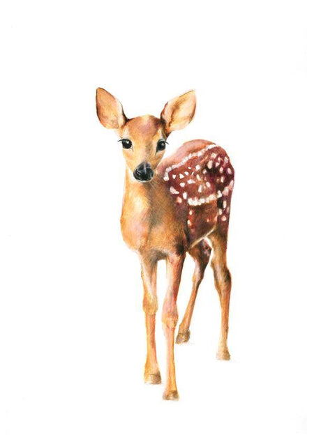 Deer Art Print - the wild woods