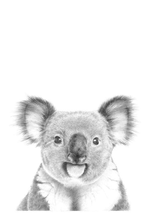 Black and White Koala Print - the wild woods