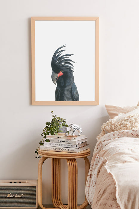 Palm Cockatoo Art Print