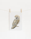 Owl Art Print - the wild woods