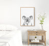 Black and White Koala Print  in a timber frame hanging above a bedside table- the wild woods