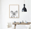 Black and White Koala Print in a timber frame hanging in a kitchen - the wild woods