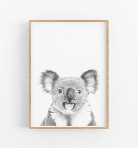 Black and White Koala Print in a timber frame - the wild woods
