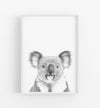 Black and White Koala Print in a white frame - the wild woods