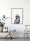 Black Cockatoo Art Print hanging above a timber bench - the wild woods