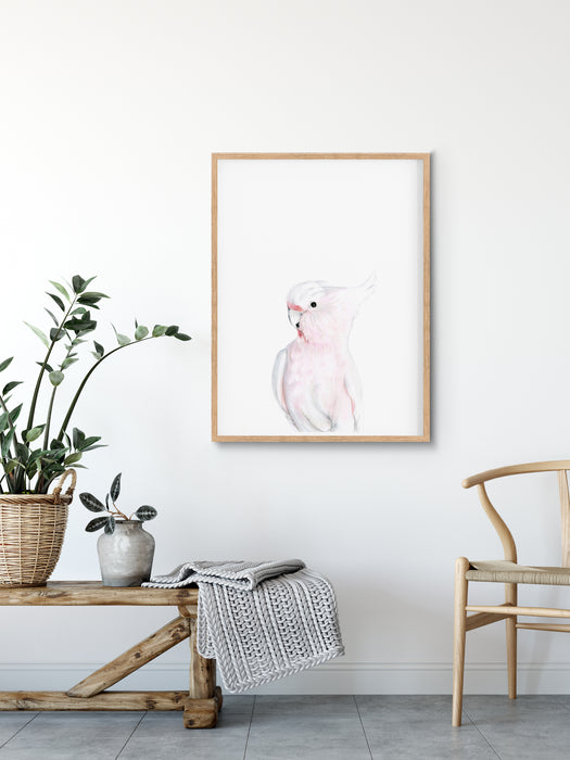 pink cockatoo art print in a wooden frame hanging above a timber bench