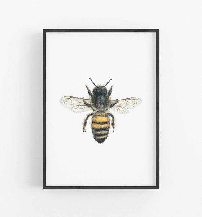 Bee Art Print in a black frame - the wild woods