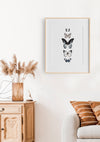 5 hand drawn butterflies in a timber frame hanging in a lounge room above a sofa
