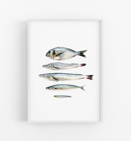 Fish Art Print - the wild woods