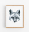 black and white drawing of a portrait of a fox in a timber frame
