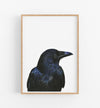 Black Bird Art Print in a wooden frame - the wild woods