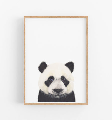 Panda Art Print - the wild woods