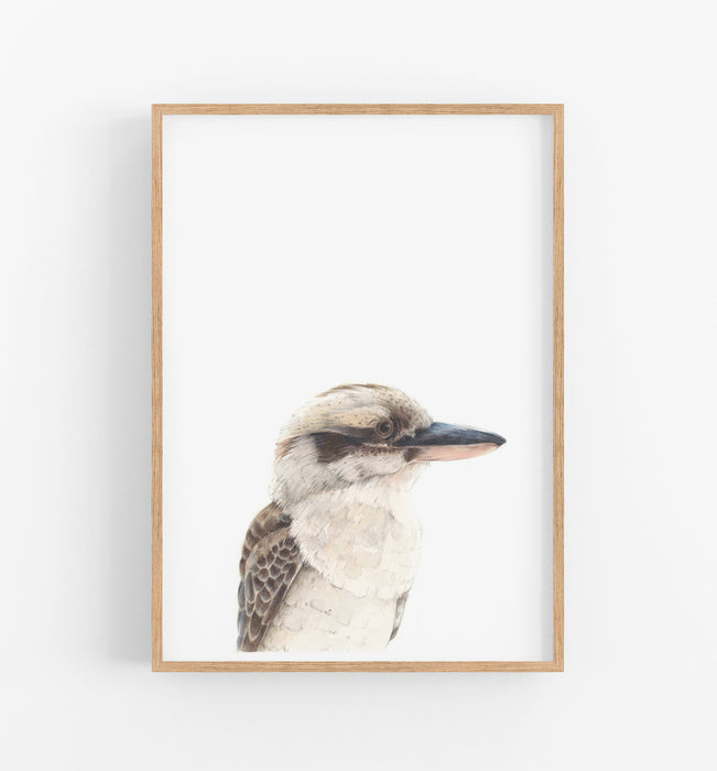 Kookaburra art print in a teak frame