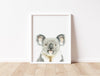 Koala Bear Art Print - the wild woods