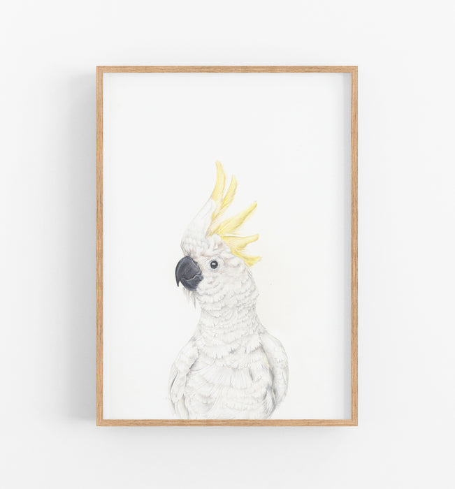white cockatoo art print in a timber frame