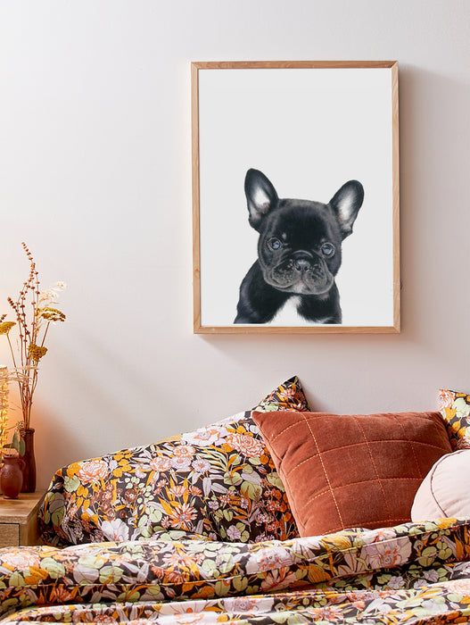 French Bull Dog Art Print in A teak frame hanging in a bedroom