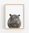 Hippopotamus Art Print in a teak wooden frame