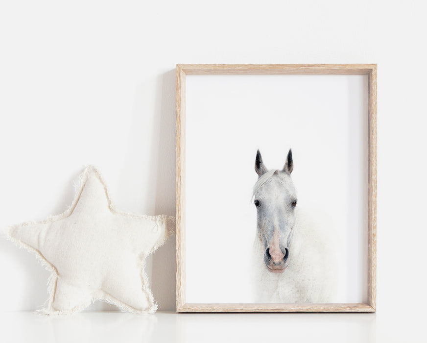 colour pencil drawing of a white horse portrait in a teak frame sitting on a dresser